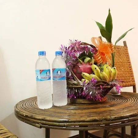 Tom & Jerry Hostel